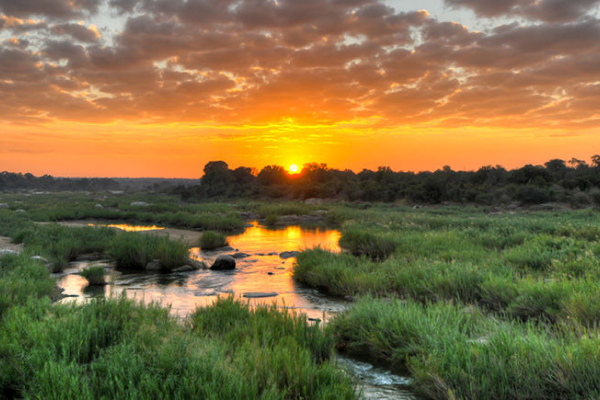 Marshland