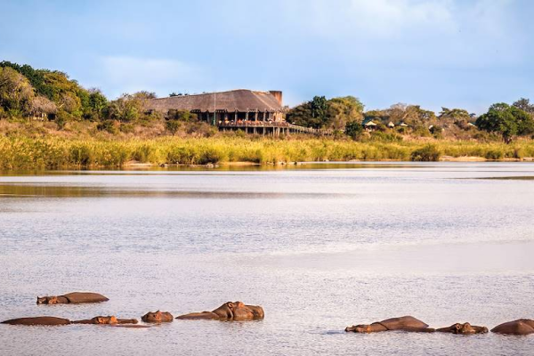 View of wildlife from a terrace