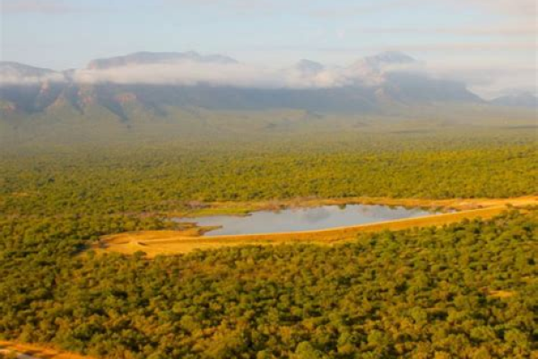 lac au milieu de flore sèche